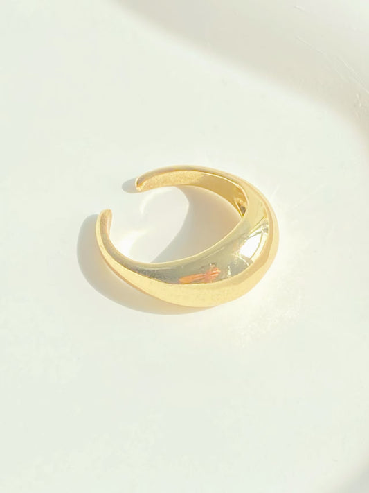 Sculptural Ring(C)