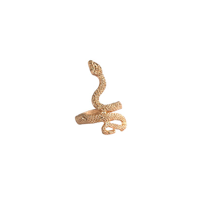 Boho Ring (C)